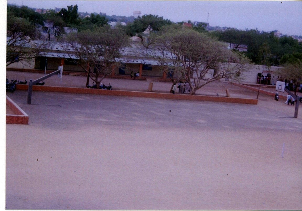 Cline Photo